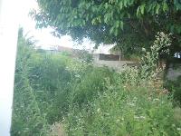 conhecer e se encantar.